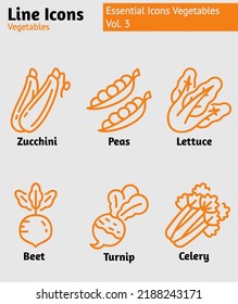Set of veggies icon. vegetarian, vegetable pack symbol template for graphic and web design collection logo vector illustration. Vol. 3