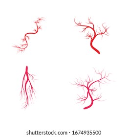 Set Veins icon Vector Illustration design Logo template