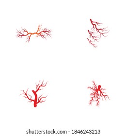 Establecer la naturaleza del símbolo vectorial de la plantilla de logotipo de venas