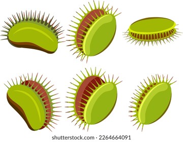 Set of venus flytrap plants isolated illustration