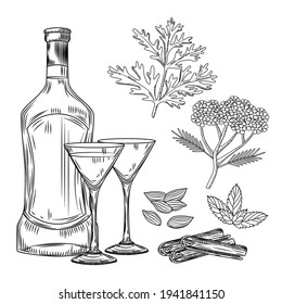 Set of vermouth. Cocktail glass and bottle vermouth, wormwood, yarrow, cinnamon, mint, cardamom. Engraving vintage style vector illustration