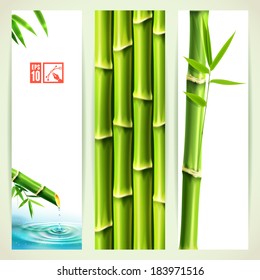 Set of Vertical Bamboo Banners. Vector illustration, eps10, editable.