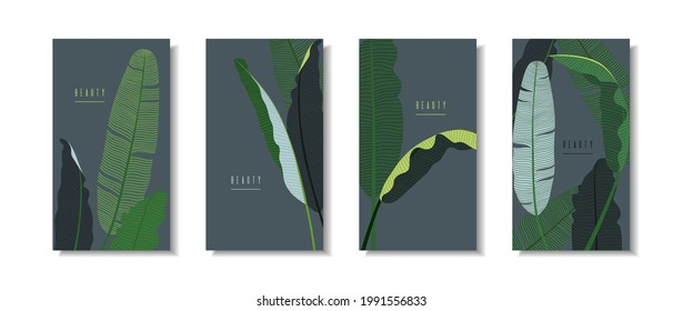 Set of vertical banners with banana leaves on dark background. Collection of templates for packaging with tropical leaves. Exotic botanicals for cosmetics, perfumes, spa. Stock vector illustration.