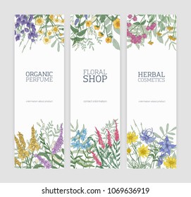 Set of vertical banners decorated with blooming wild flowers, beautiful flowering meadow herbs and place for text on white background. Vector illustration for natural products advertisement, promo.