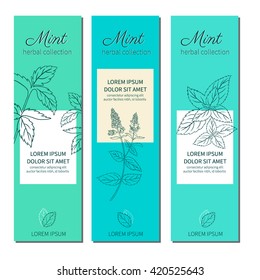 Set of vertical banners with hand drawn sketch mint leaves, peppermint branch flowers,  isolated on white, Natural cooking doodle spicy ingredients, Vector botanical illustration, Healing herb for tea