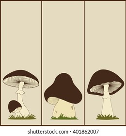 Set of vertical  banners with mushrooms