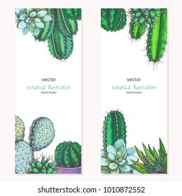 Set of vertical floral backgrounds with succulents. Hand drawn color botanical illustration of cactuses for banner or card