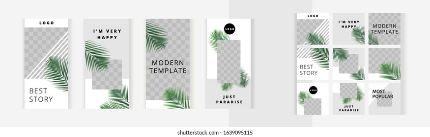 Set of vertical and square banners templates for design of social networks, story and print with windows for images. Green tropic fan leaf on white background. 
Beautiful palm branches.