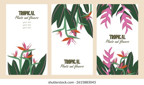 Set of vertical tropical layouts with exotic flowers and space for text. Trendy floral frame templates background for banner designs, event invitations, social media, or promo. Vector illustrations