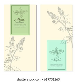 Set of vertical vintage banners, labels with sketch mint leaves, Designed vector frame with blossom peppermint and space for text, line art, design for cosmetic, beauty salon, natural organic product