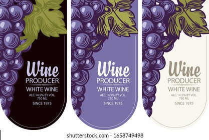 Conjunto de etiquetas verticales de vino o pancartas con uvas e inscripciones en un marco figurado. Calidad superior de recogida de vino, ilustración vectorial plana