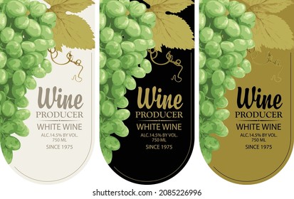 Conjunto de etiquetas de vino verticales con paquetes realistas de uvas verdes deliciosas e inscripciones caligráficas en marcos figurados de diversos orígenes. Ilustración vectorial. Colección de vinos de calidad