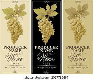 Set of vertical wine labels with realistic bunches of white grapes and calligraphic inscriptions in a frames with curls. Vector illustration in retro style. Wine collection premium quality