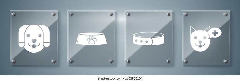 Set Veterinary clinic symbol, Collar with name tag, Pet food bowl for cat or dog and Dog. Square glass panels. Vector