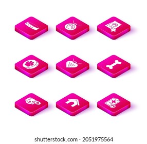 Set Veterinary clinic symbol, Dog house, Paw print, Collar with name tag and heart, Clipboard medical clinical record pet, bone, Bag of food for dog and  icon. Vector
