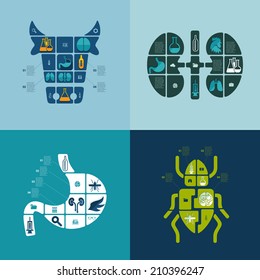 Set of veterinary flat icons