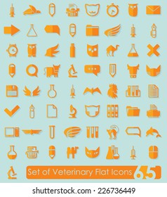 Set of veterinary flat icons