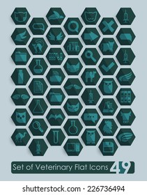 Set of veterinary flat icons