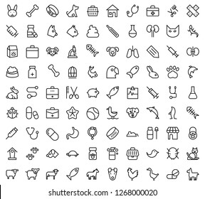 Set of Veterinary Icons 