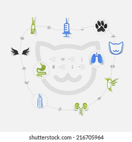 Set of veterinary icons