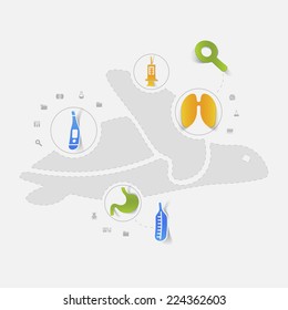 Set of veterinary icons