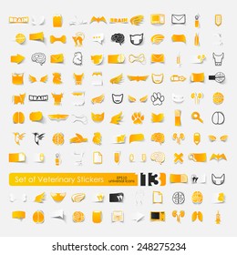 Set of veterinary stickers