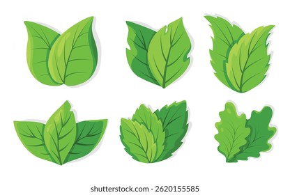 set of vibrant green leaves in flat style. Leaves of different shapes and sizes, for illustrations, logos, or nature themed designs