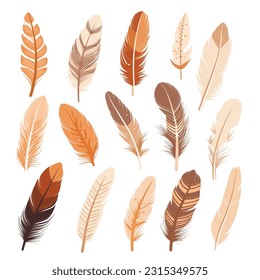 Set of vibrant multicolored feathers arranged on a clean white background