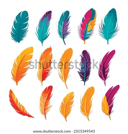 Set of vibrant multicolored feathers arranged on a clean white background