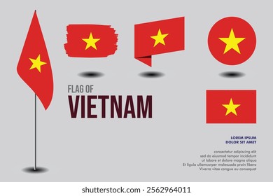 Set of Vietnam flag in 5 designs: flag on pole, brush stroke, skew, round and standard. vector, flat, isolated on grey background