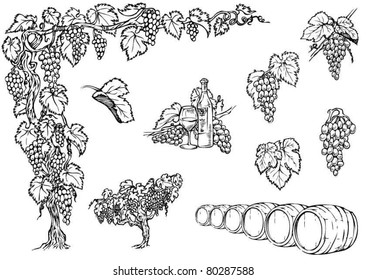 Set vine