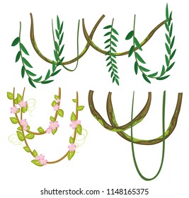 A set of vine on white background illustration