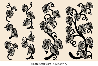 Set of vine vector lace by hand drawing.Beautiful lace on brown background.Plant lace art highly detailed in line art style.Vine tattoo on vintage paper.