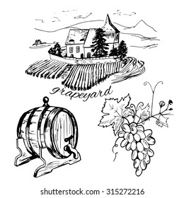 Set of vineyard, barrel of wine and bunch of grape