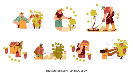 Set of vineyard workers tending to various tasks, from grape picking to vine care. Vector illustration portrays the full cycle of winemaking in a vibrant, engaging style.