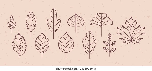 Set of vintage autumn leaf icons. Maple and rowan, ginkgo biloba, Codiaeum, lilac, linden and oak, elm and poplar. Doodle style. For stickers, web design, postcards