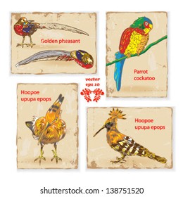 set vintage backgrounds, retro postcard animals birds vector