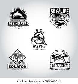 Set vintage badge with dolphin drawn by hand. Vector illustration, template graphic design fashion apparel print logos emblems labels for beach bars, restaurants, cafe, resort, rescue and sport team