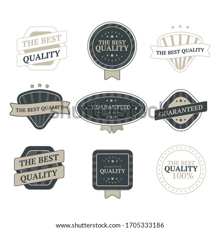 Set of vintage badges and design elements vector image
