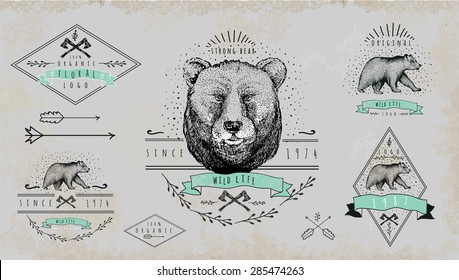 Set of vintage  bear logo. Design for t-shirt apparel print fashion design, graphic tee, vector illustration of bear on surfboard.