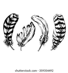 Set of vintage black and white feather isolated on white background. Hand drawn vector illustration.