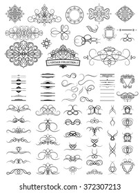 Set vintage borders, frame and rosette. Decoration for logo, wedding album or restaurant menu. Ornate swirl leaves, label, curved lines and decor elements in vector.