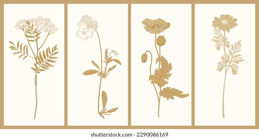 Set of vintage botanical illustrations in pale beige shades. Medical herbs, wild plants, flowers. 