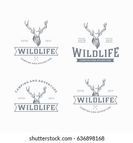 Set of vintage camping and adventure logo