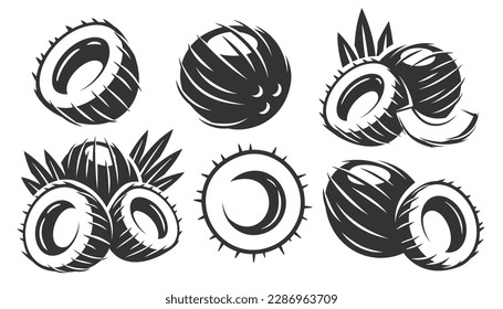 Set of vintage coconut icons isolated on white background. Vector illustration
