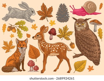 Conjunto de Elementos de otoño de color Antiguas