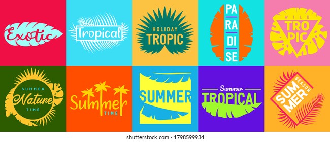 Set of vintage colorful minimalistic composition with tropical leaf and inscription. Vivid vector element for sticker, cover or print isolated on white background.