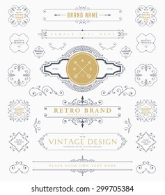 Set of Vintage Decorations Elements. Flourishes Calligraphic Ornaments and Frames. Retro Style Design Collection for Invitations, Banners, Posters, Placards, Badges and Logotypes.