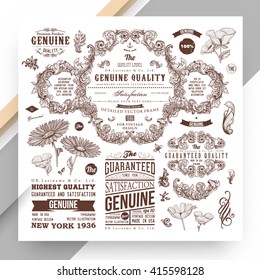 Set of Vintage Decorations Elements. Flourishes Calligraphic Ornaments and Frames. Retro Style Design Collection for Invitations, Banners, Posters, Placards, Badges and Logotypes.