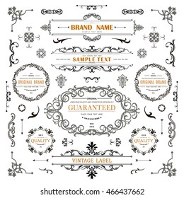 Conjunto de elementos decorativos de época.Florece adornos y marcos caligráficos con lugar para el texto. Colección de diseño de estilo retro para invitaciones, carteles, carteles, carteles, carteles, logotipos